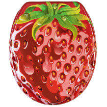 Sanilo tapa del wc cierre suave