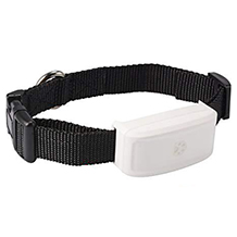 Zeerkeer collar para gatos con GPS