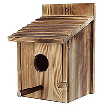 szm casita para pájaros