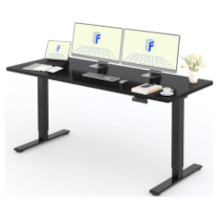 Flexispot escritorio elevable