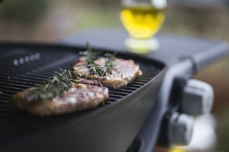 barbacoa de gas de sobremesa
