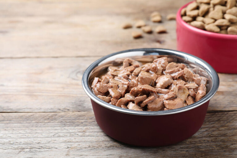 comida húmeda para perros