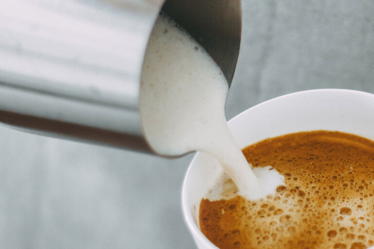 espumador de leche por inducción