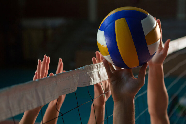 pelota de voleibol