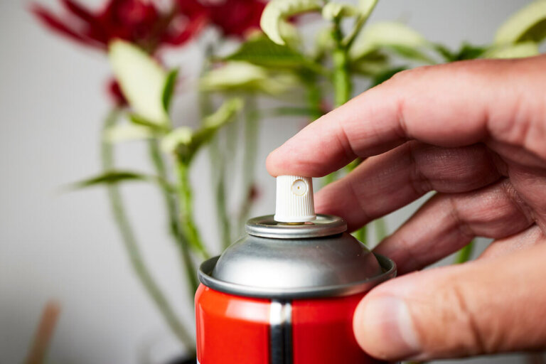 spray para avispas