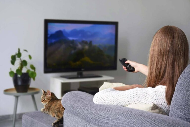 televisor de 22 pulgadas