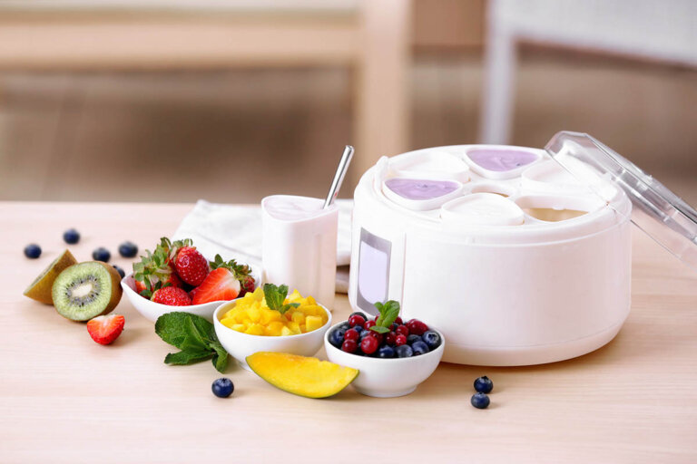 yogurtera